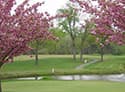 Virginia Super Senior Four-Ball Championship