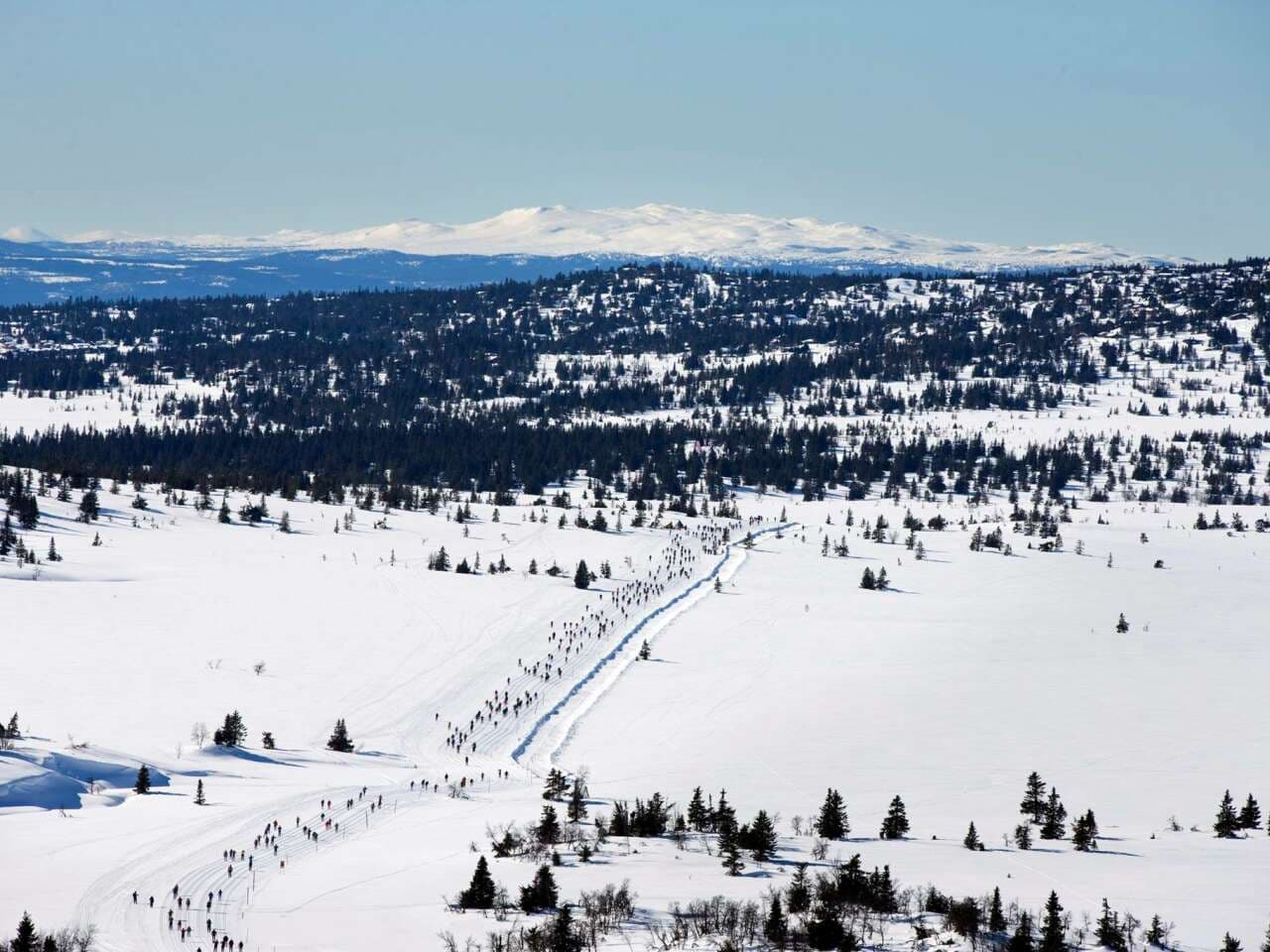 HalvBirken Ski 28K 2027