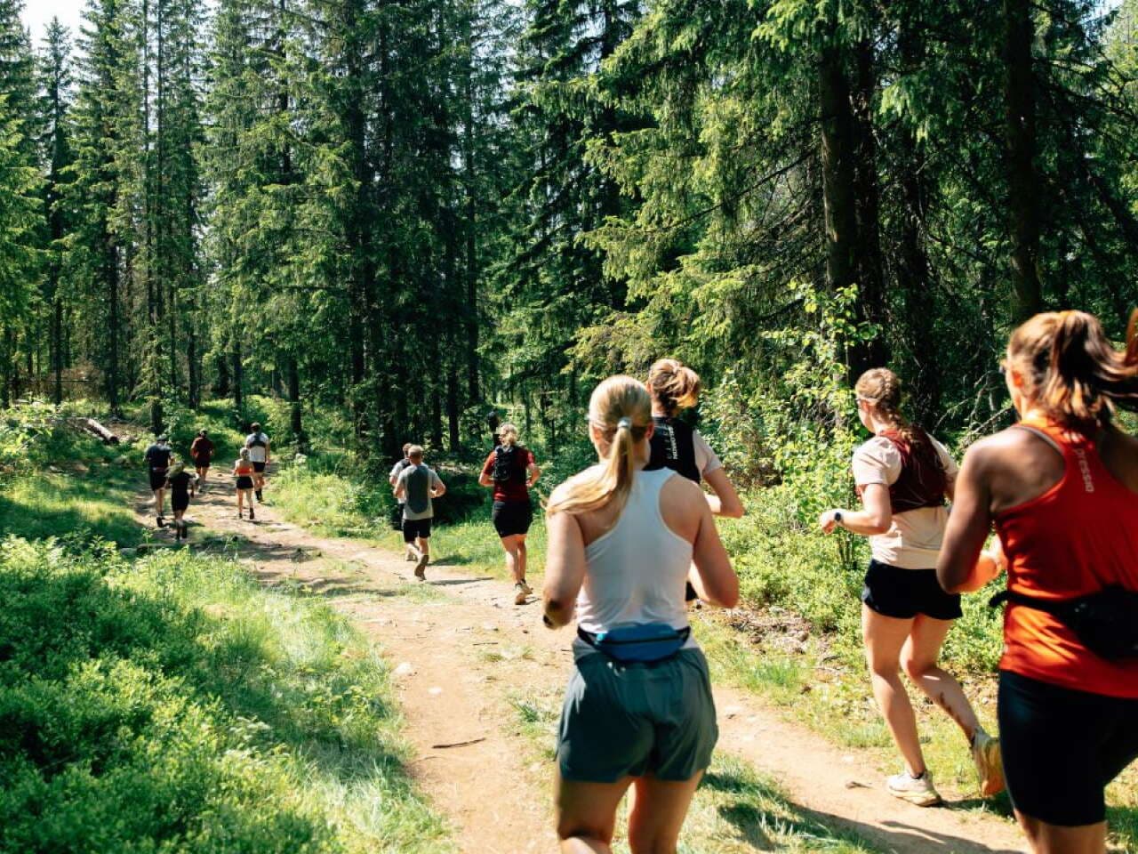 HalvBirken Run 12 km 2026
