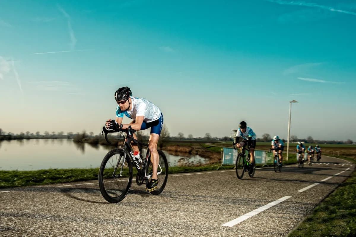 De Maasdijk