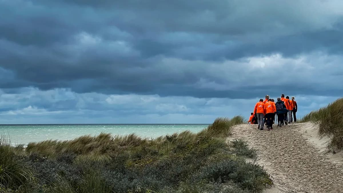 Entre Dunes et Mer