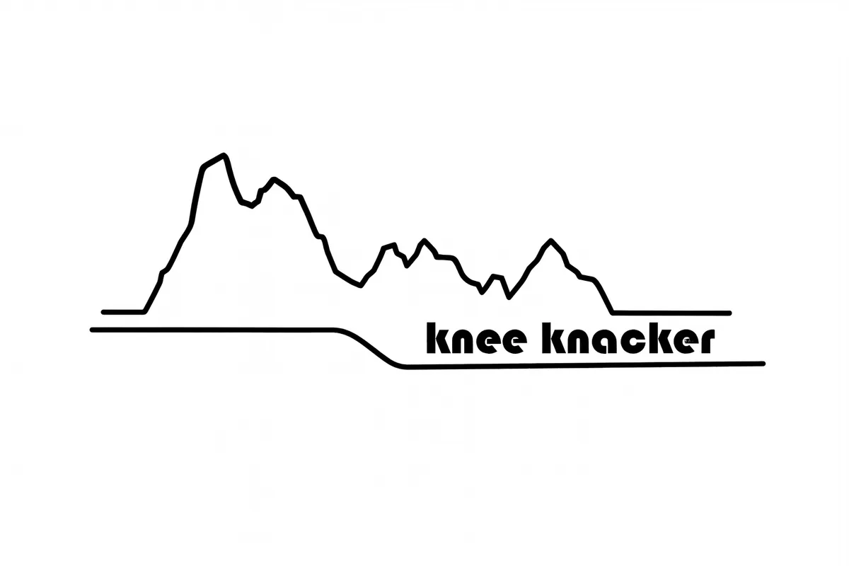 Knee Knackering North Shore Trail Run