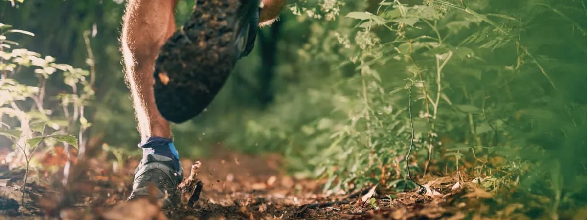 La Diagonale des Yvelines