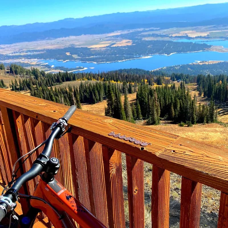 Top of Tamarack