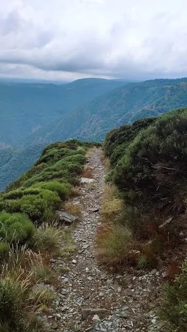 Trail du Mont-Aigoual