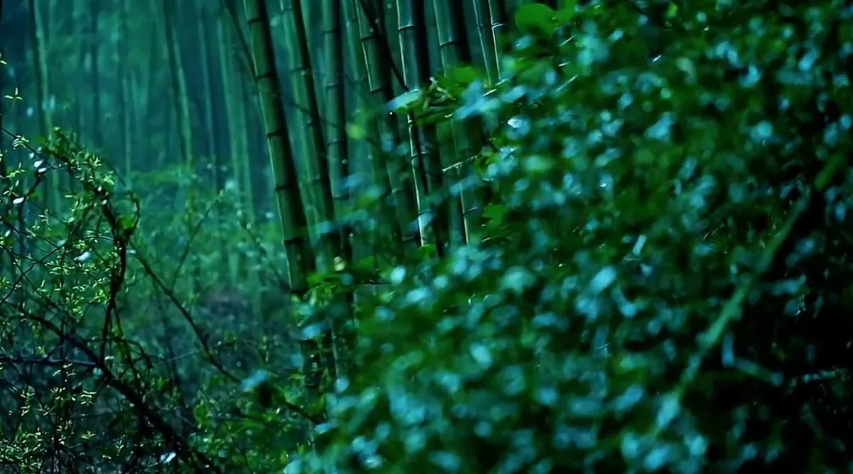 Ultra-Trail Mogan By UTMB 100K