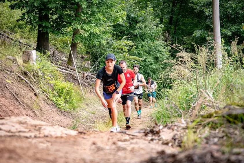 X-wald Trail