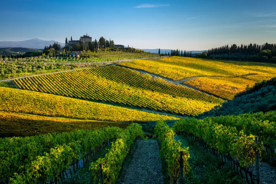 Chianti Ultra Trail by UTMB®
