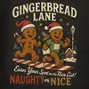 Gingerbread Lane 5K & 10K - Tulsa