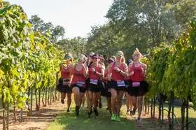 2026 SKECHERS Wicked Wine Run Napa Valley Fall Date