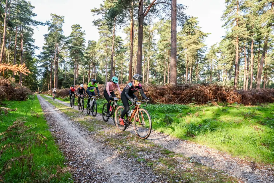 Thetford Forest Autumn Trophy