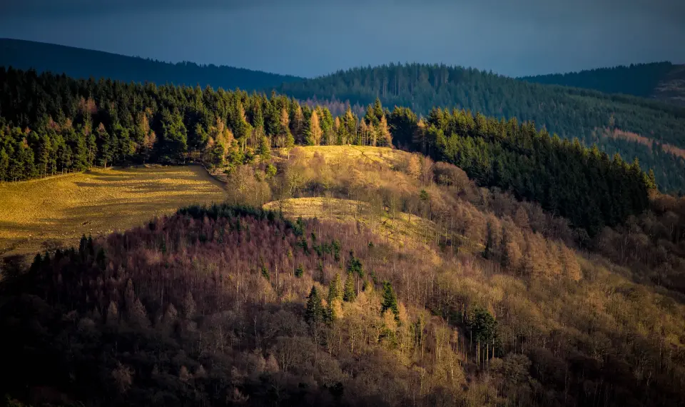 Glentress Winter Trail Half Marathon