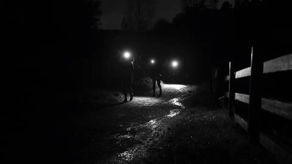 Night Trail Run