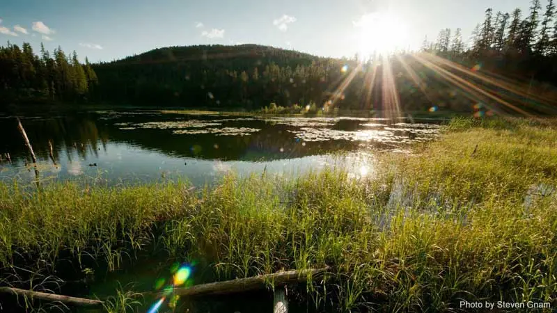 Whitefish Trail Blazer