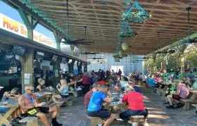 Halloween 5K 10K Dunedin HOB Brewing Company Costume Contest And Free Beer Party