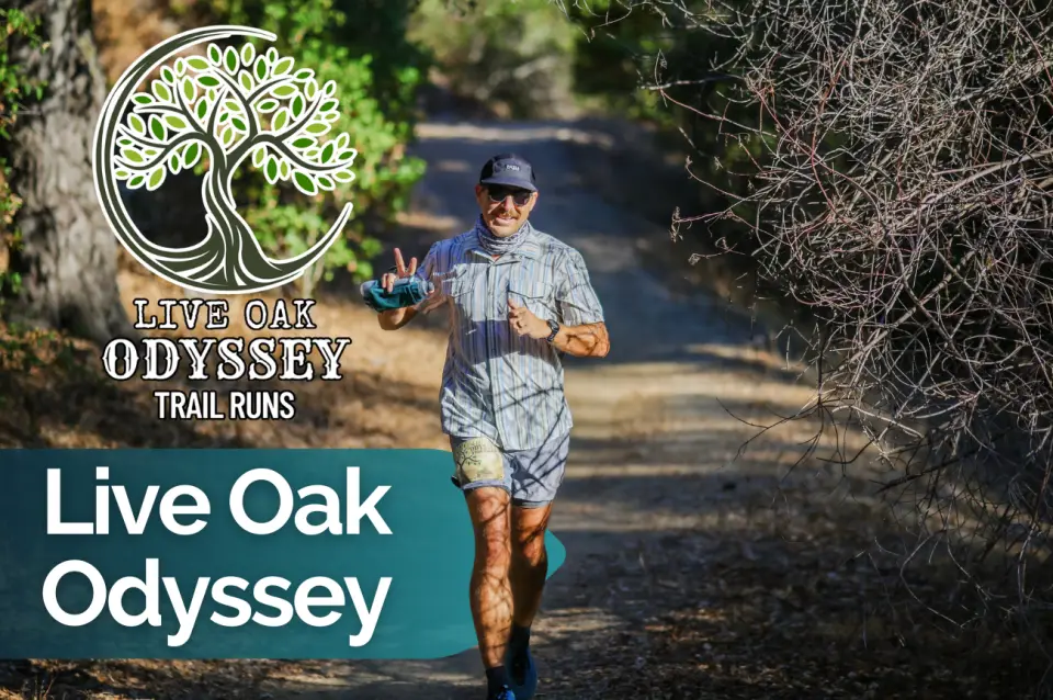 Live Oak Odyssey