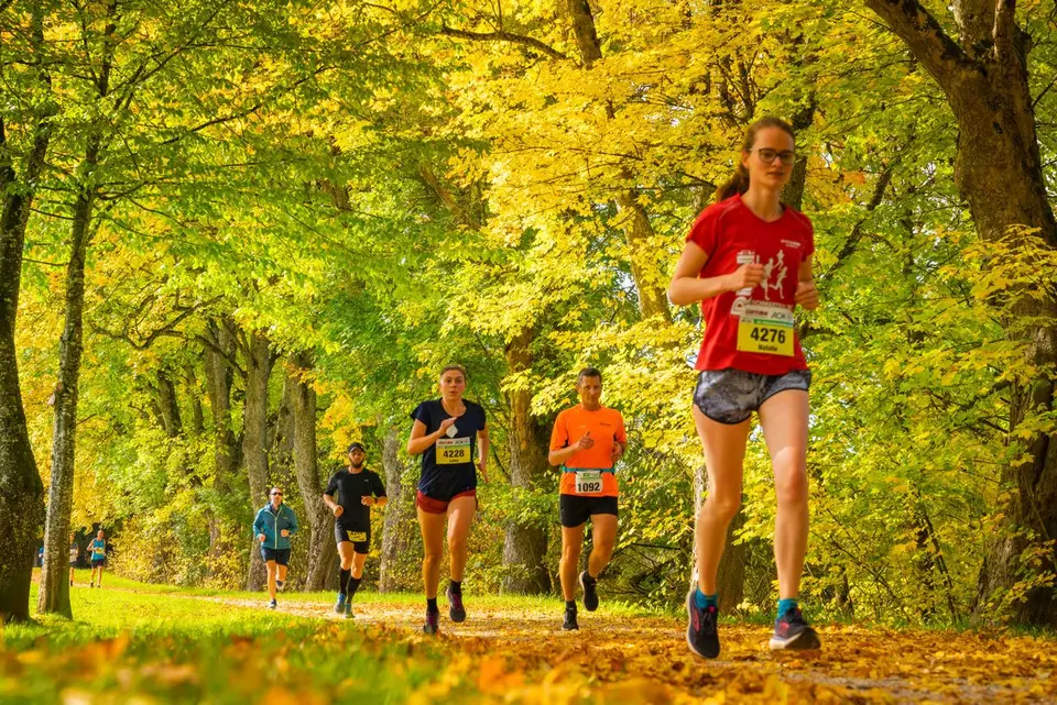 Schwarzwald Marathon