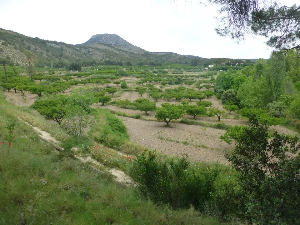 La Vara Trail Run