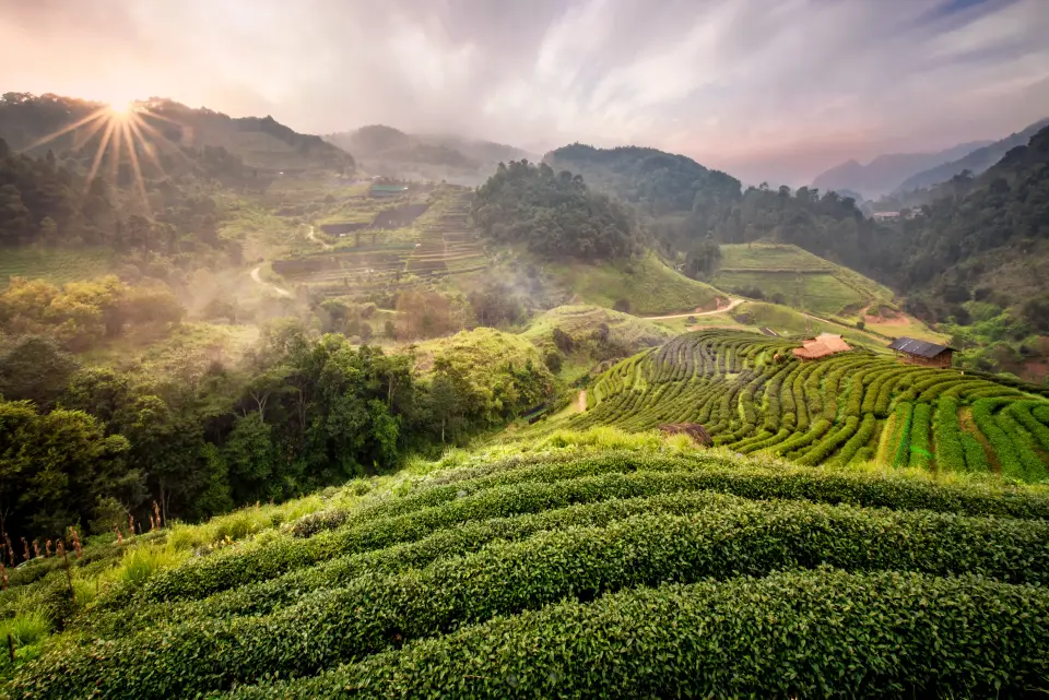 Vietnam Trail Marathon