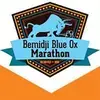 Bemidji Blue Ox Marathon