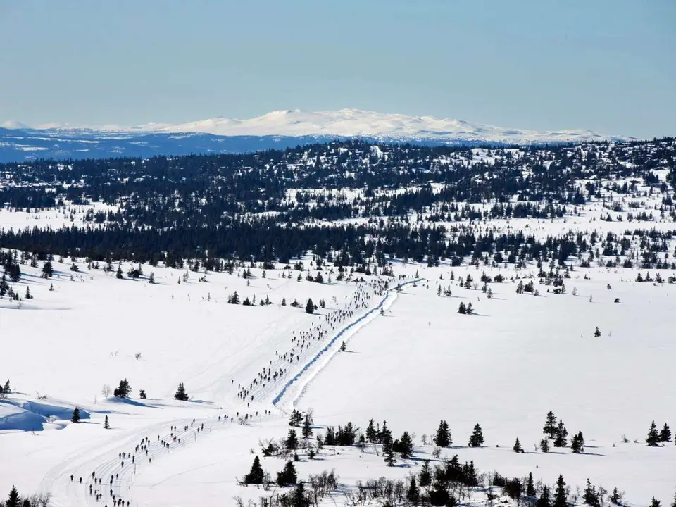 HalvBirken Ski 28K 2027