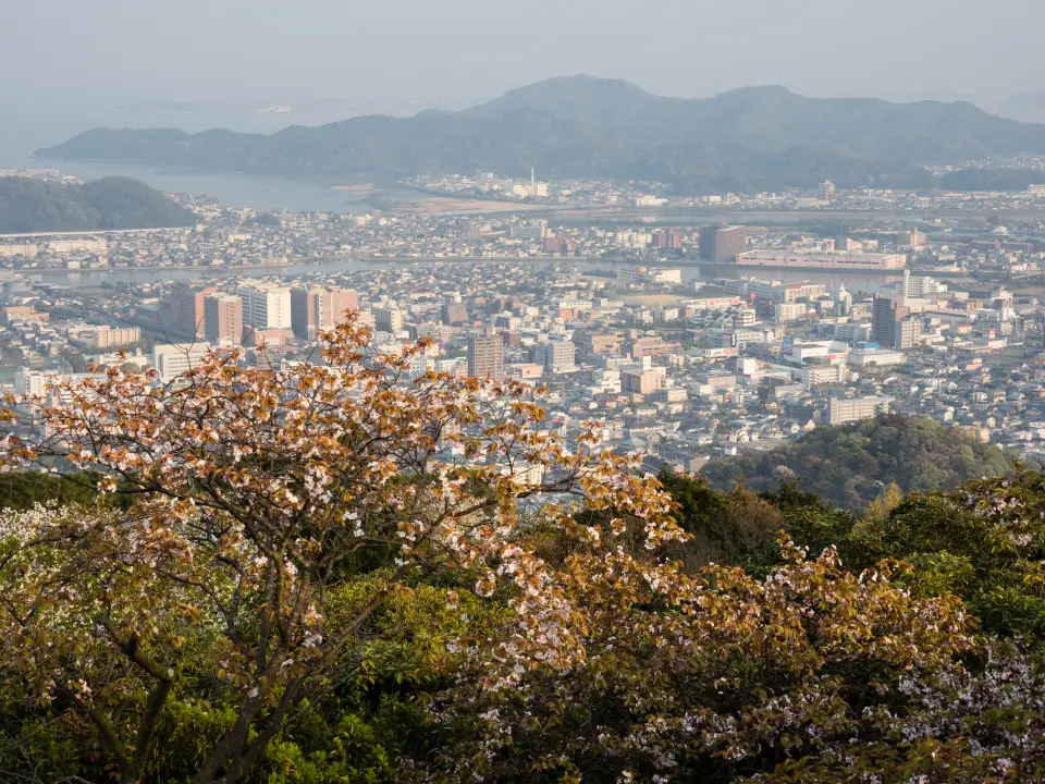 Marathon de Tokushima