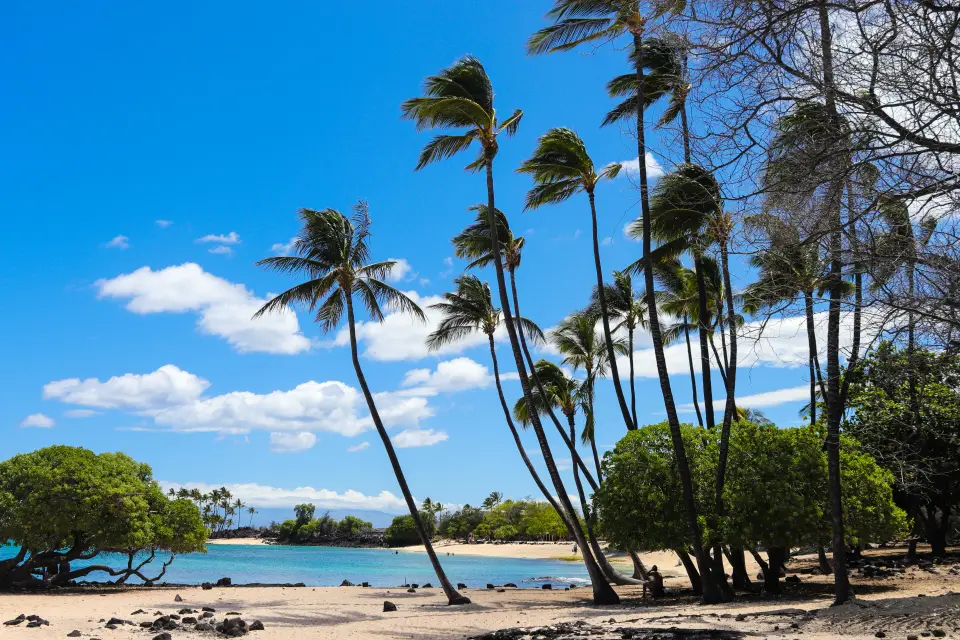 Big Island Marathon