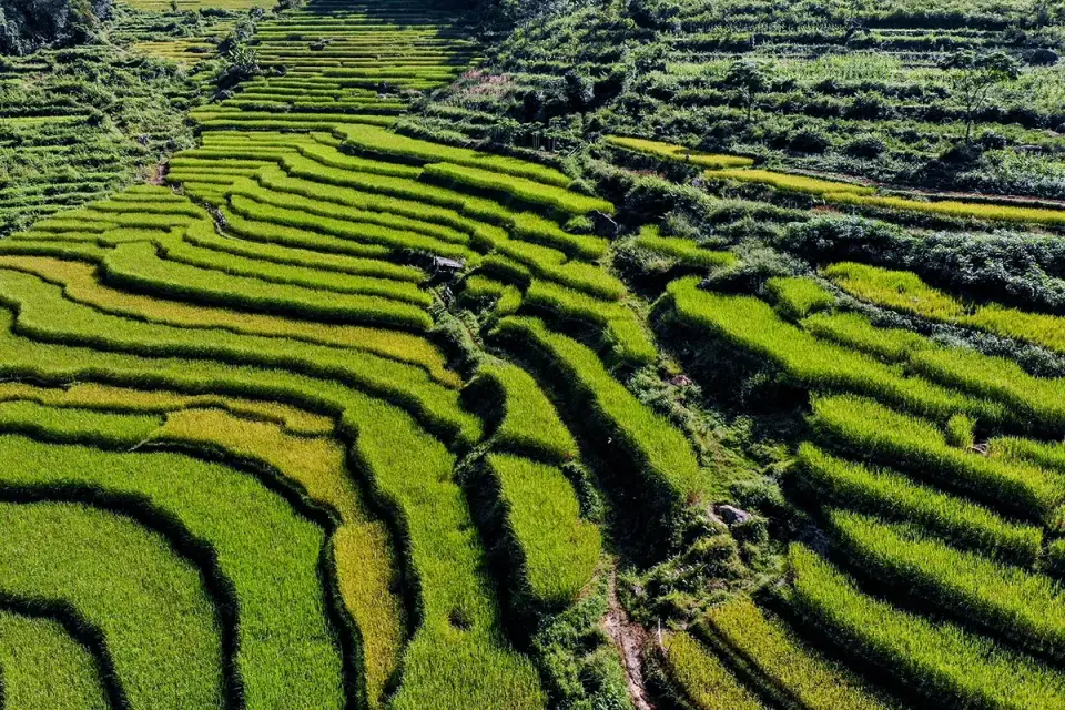 Vietnam Jungle Marathon (VJM)