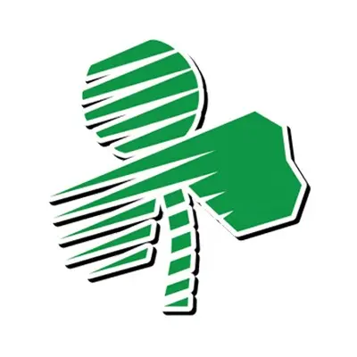 Holyoke St. Patrick's Road Race