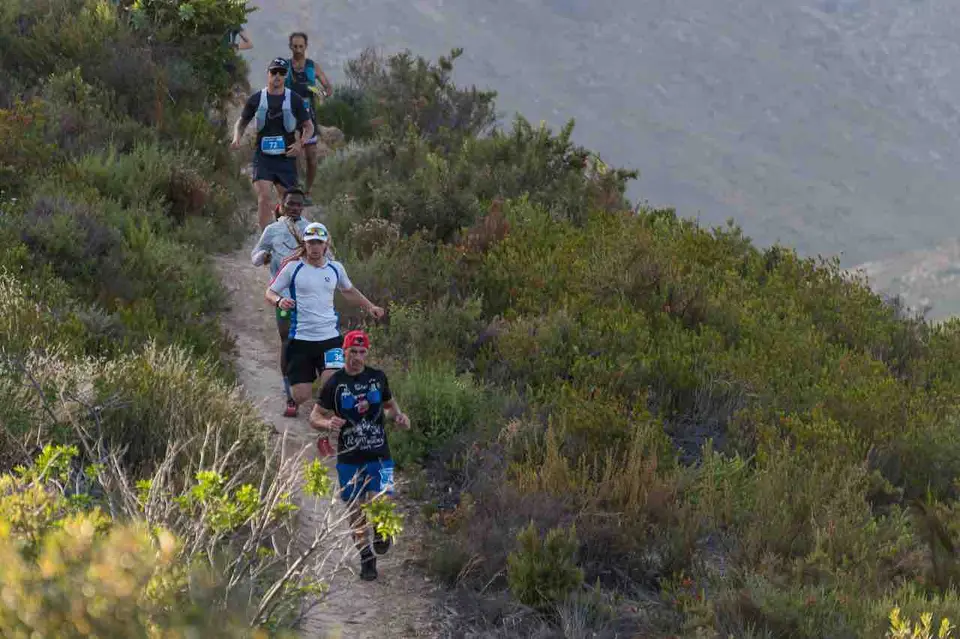 Om Die Dam | Franschhoek