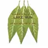 Narrowleaf Lake Run