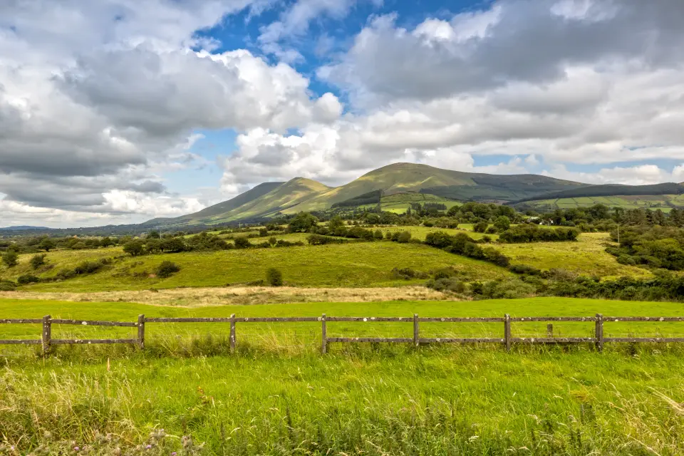 Ballyhoura Mountain Trail