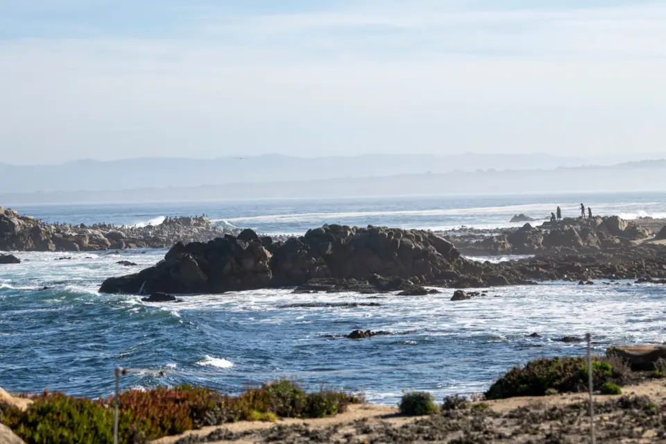 Monterey Bay Half Marathon 2026